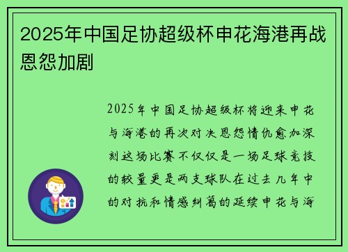 2025年中国足协超级杯申花海港再战恩怨加剧